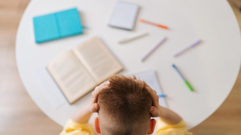 Nowe pracownie zawodowe w Jedliczu dla uczniów z niepełnosprawnościami