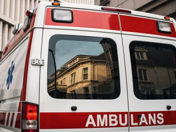 Gmina Miejsce Piastowe uzyskuje pozwolenie na płoszenie wilków dla bezpieczeństwa mieszkańców