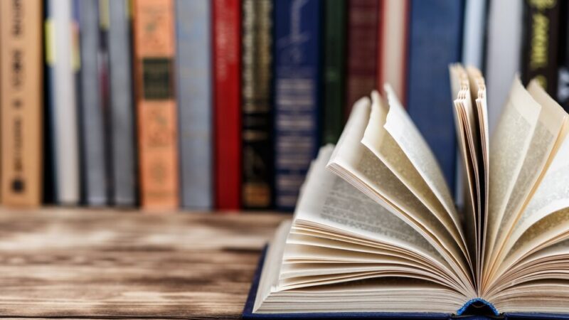 Magda Skubisz: Pasjonująca podróż przez literaturę i życie w Jedliczu
