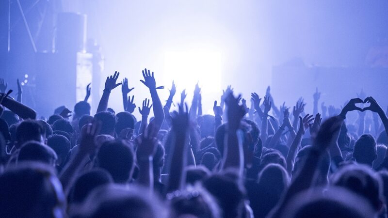 Muzyczne spotkanie w ogrodzie Profesora Pikula