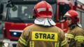 Pożar młodnika w Komborni: strażacy w akcji ratunkowej