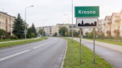 Między Chorkówką a Kobylanami znaleziono suczkę