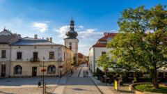 MOPR przyjmuje wnioski o Bon Senioralny