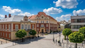 Przy Grodzkiej powstaje ogród deszczowy